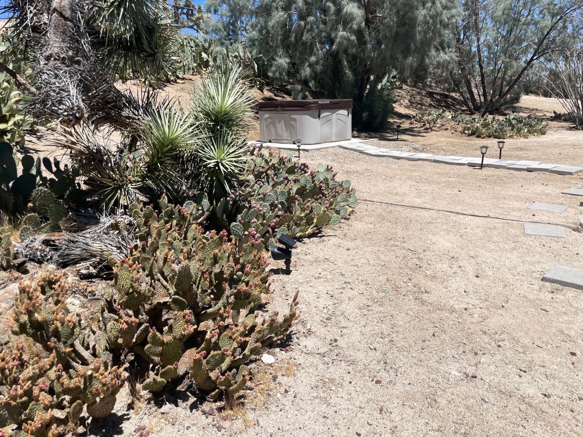 Mojave Desert Pied-A-Terre Yucca Valley Exterior foto